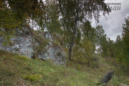 IMG_2672_r